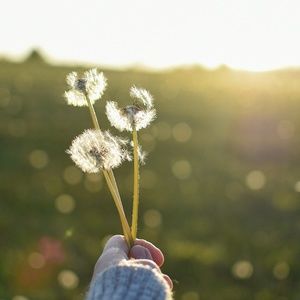 Meet your Posher, Ruth